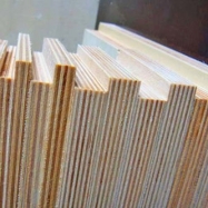 PLYWOOD 09